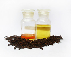 Clove Bud Essential Oil